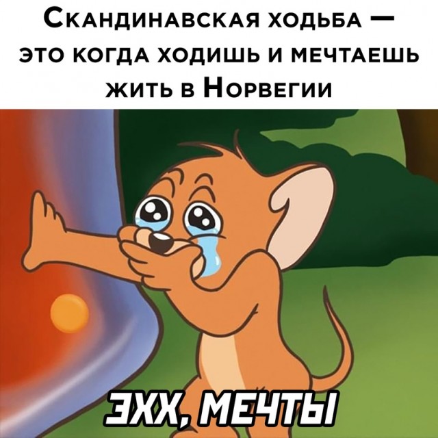 Весёлый полтишок 16.08