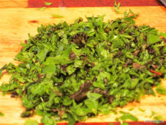 Пятничные посиделки на теплотрассе ©