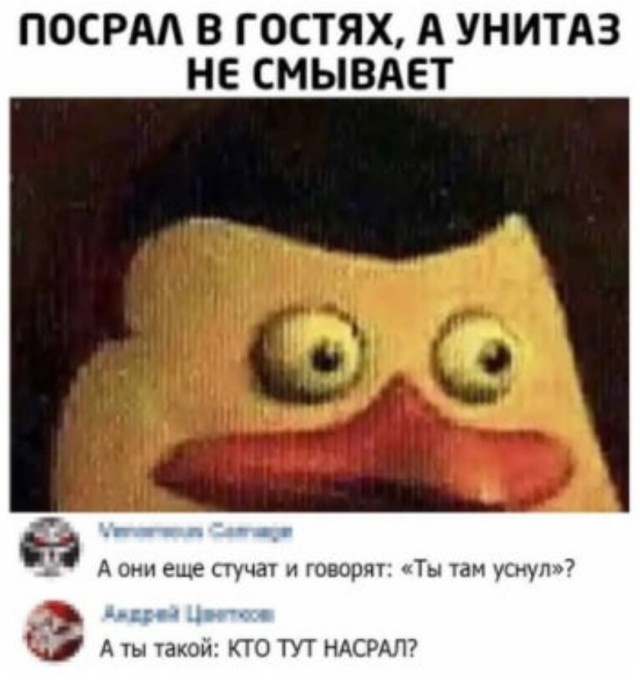 Бредзона 21.11.2021