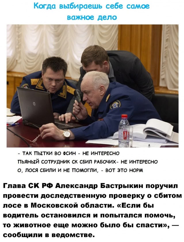 Так себе картинки 28.11.21