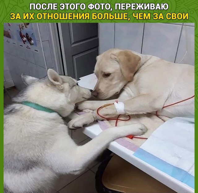 Так себе картинки 06.02.22