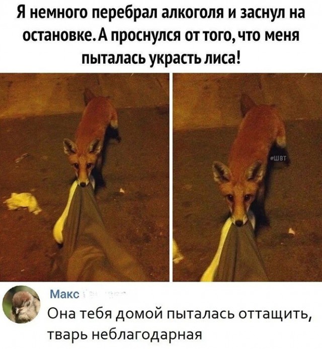 Алкопост 16.04.22