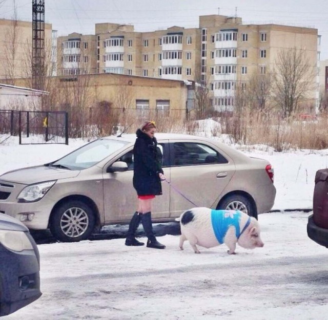 Чудики из социальных сетей 16.04.22