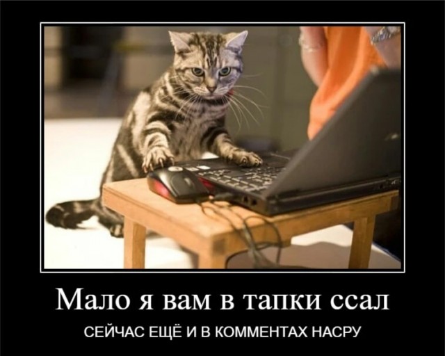 Немного картинок и прочей хреноты Vol. 11
