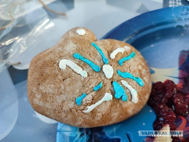 Из Казахстана в Карелию на машине