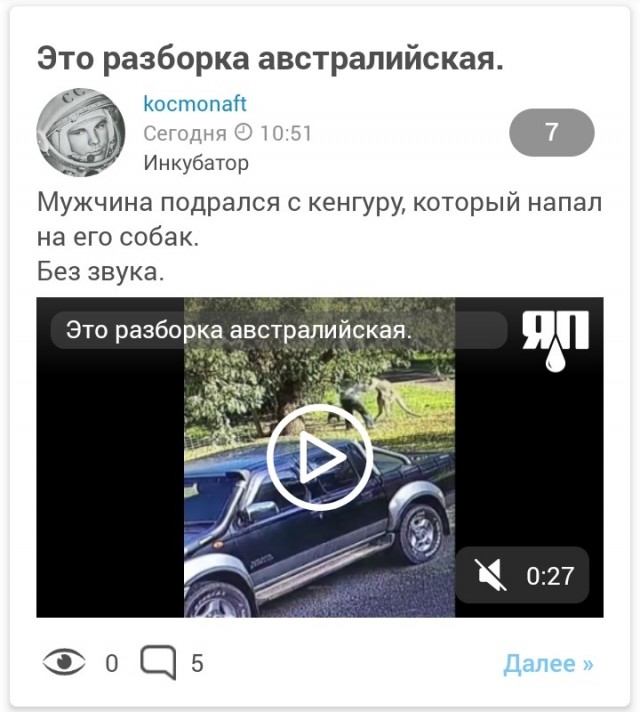В Австралии мужчина подрался с кенгуру