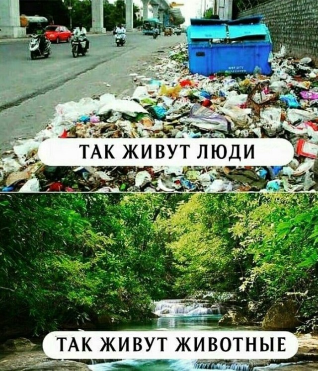Картинки с надписями и всякие жизненные фразы