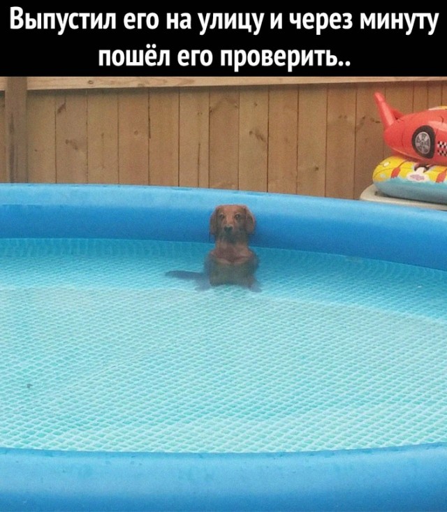 Картинки и мемы для настроения. Выходные рядышком...