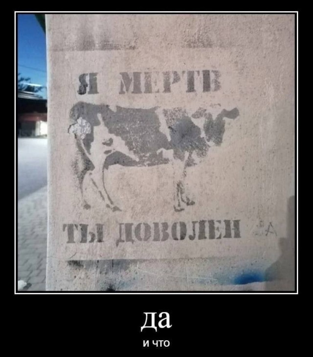 Картинки аморальные и всякие разные - 41
