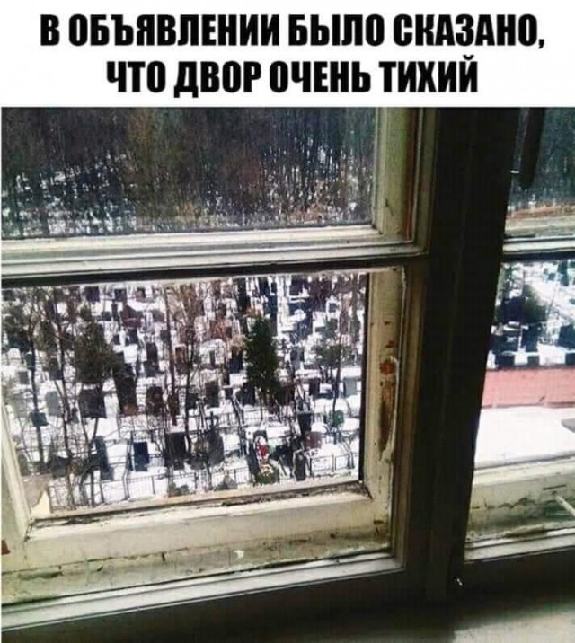Картинки и мемы. Выходные близко...