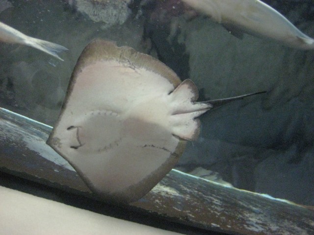 Испания - чудесная страна!