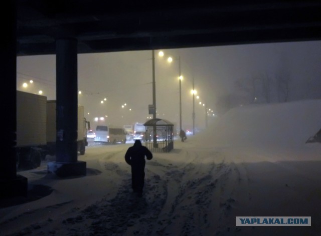 23 марта. Киев. Весна.