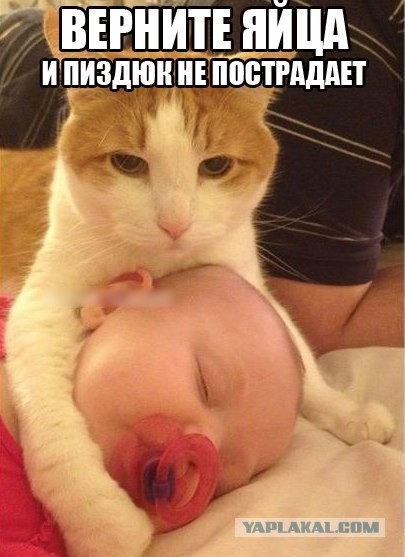 Делайте что он просит ...