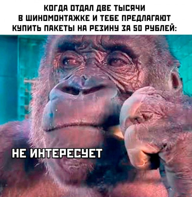 Картинки и мемы, всем хороших выходных