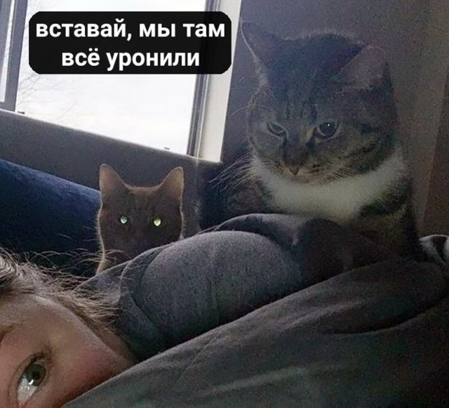 Экскаватор уронили