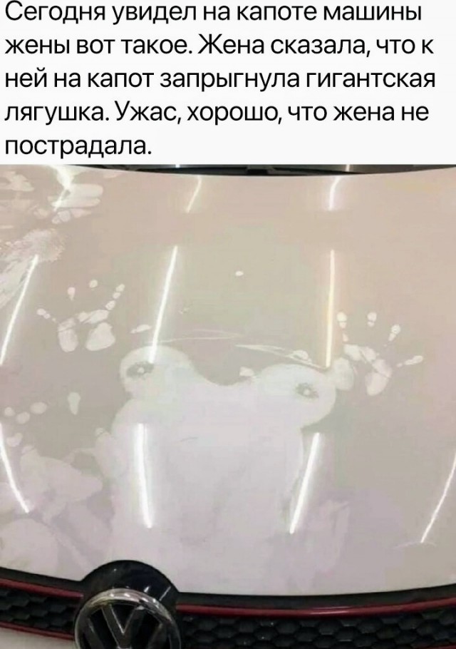 Картинки и мемы для настроения - 137