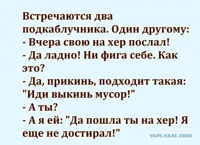 Каблук в Wildberries