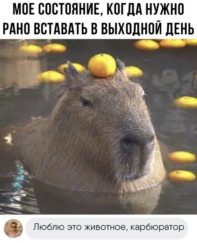 Картинки и мемы, всем хороших выходных