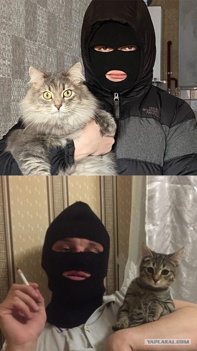 Студента-диверсанта поймали с поличным при попытке поджога на ж/д в Петербурге