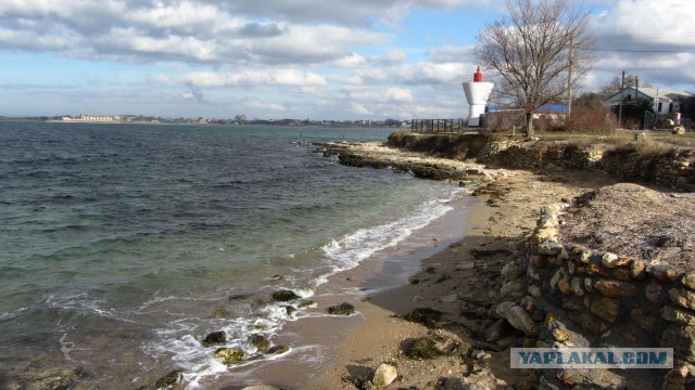 Крым в феврале или "Не стреляйте в белых лебедей!"