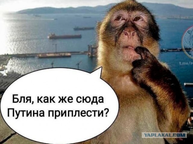 Евреи о зеленском