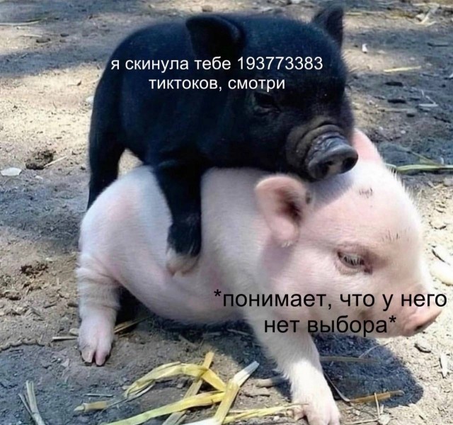 Всего понемногу. От 12.08