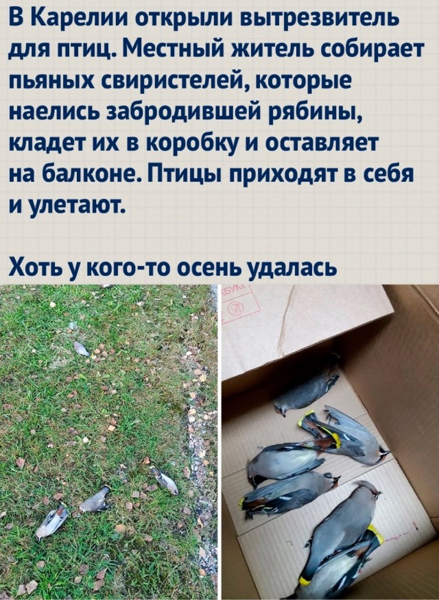 Так себе картинки 10.10.2023