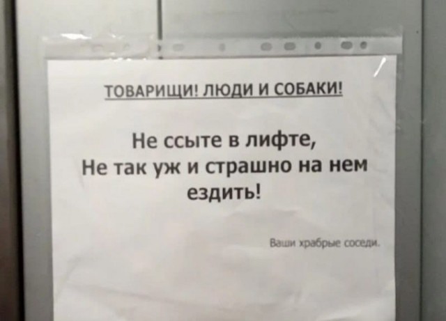 Химия и жизнь