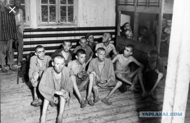 «Наш милый Франц»: нацист, убивший сотни тысяч, жил на курорте под своим именем
