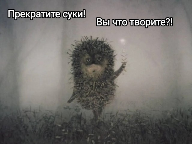 Дон воины