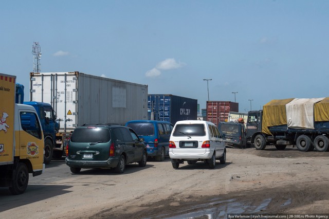 Только крокодилы спасут эту страну от мудаков!