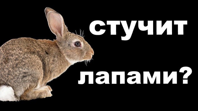 Человек-отбойный молоток