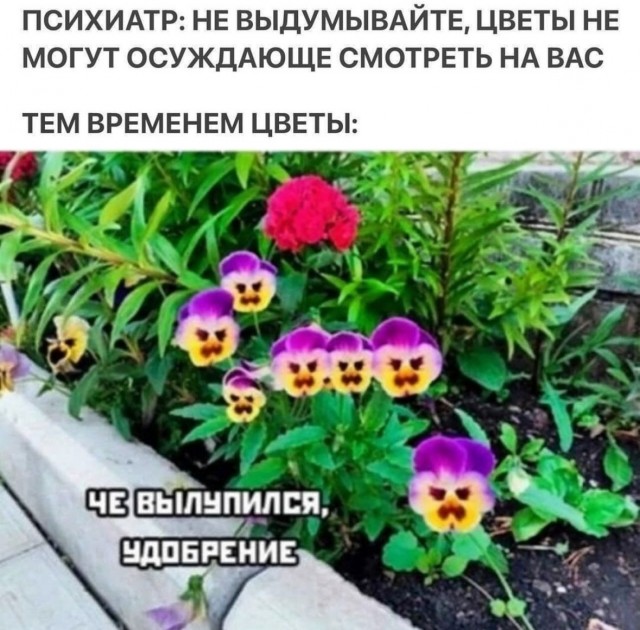 Завалялось тут случайно немного забавных картинок
