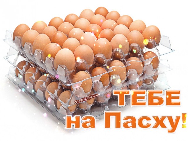 Так себе картинки 04.05.24
