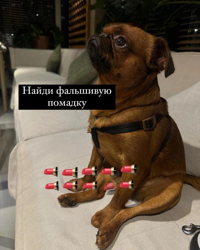 Переписьки - такие переписьки
