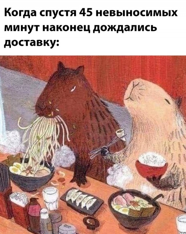 Весёлый полтишок 08.01.25