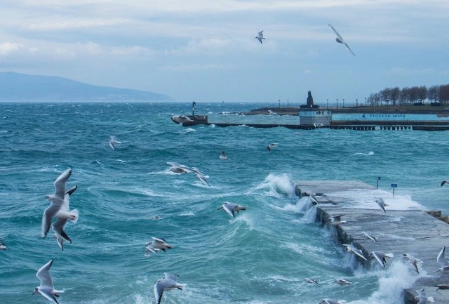 Норд-Ост в Новороссийске