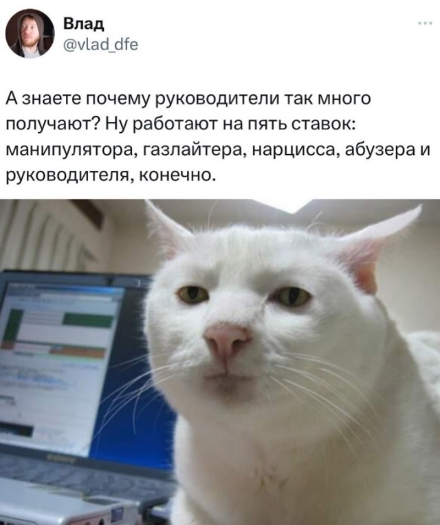 Весёлый полтишок 16.02.25