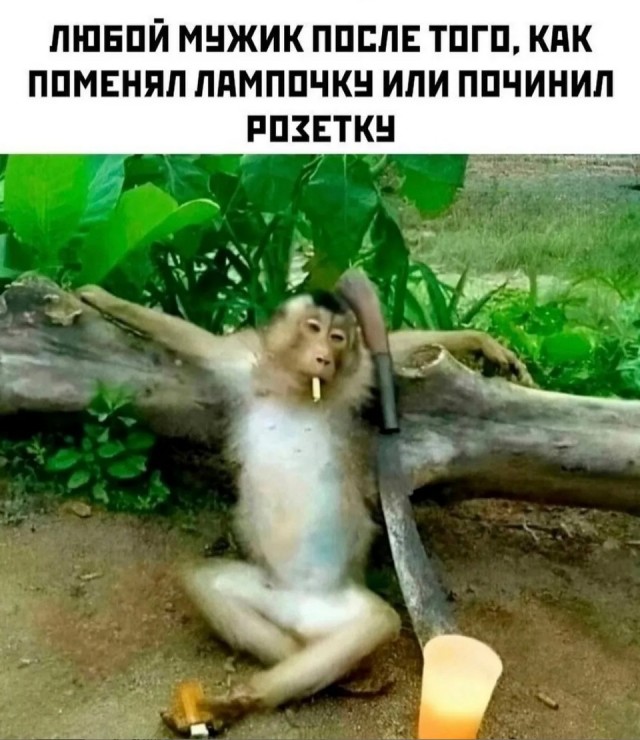Завалялось тут случайно немного забавных картинок