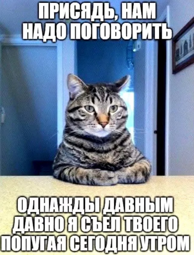 Завалялось тут случайно немного забавных картинок
