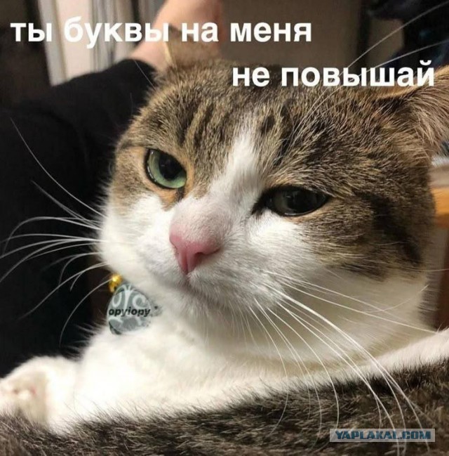 Так себе картинки 30.03.25