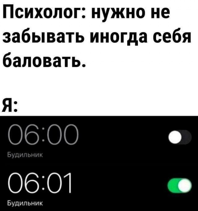 Весёлый полтишок 08.07.25