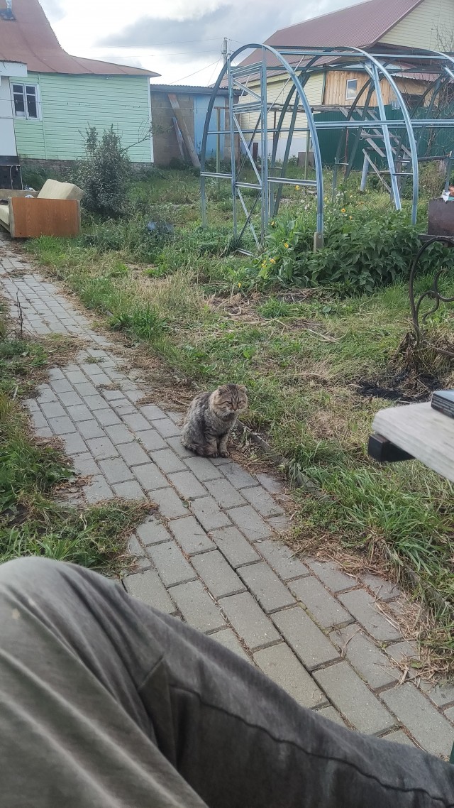 Сначала они говорят, что у мужчин нет нервного срыва и выгорания..