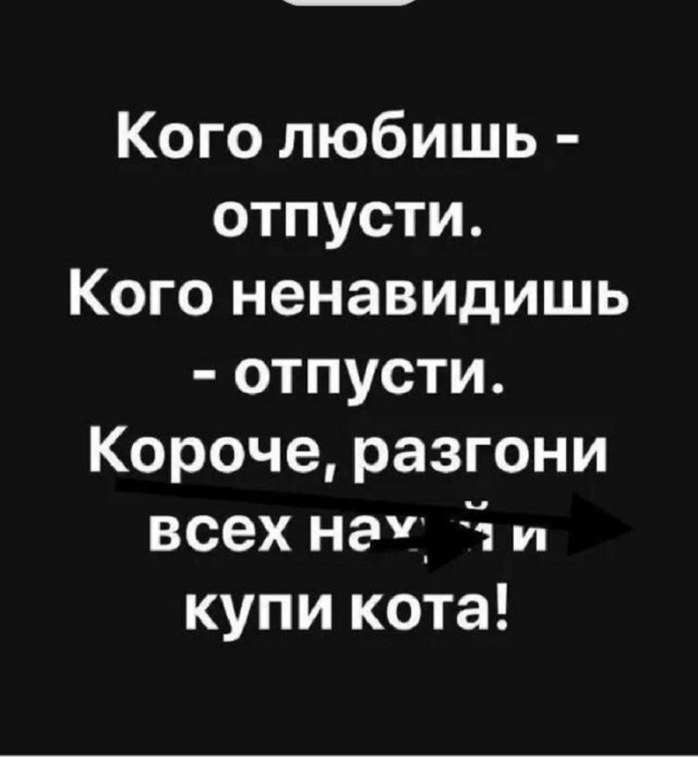 Так себе картинки 06.10.25