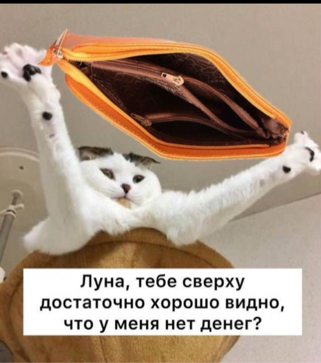 Сегодня можно разбогатеть и так