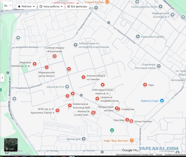 Вспышка бешенства в Москве: в районе Щукино объявили карантин до 17 января
