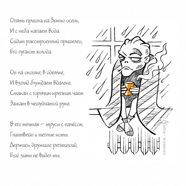 Так себе картинки 22.11.25