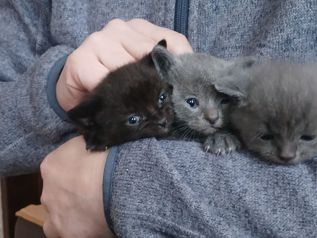 Ну начнемс ...!