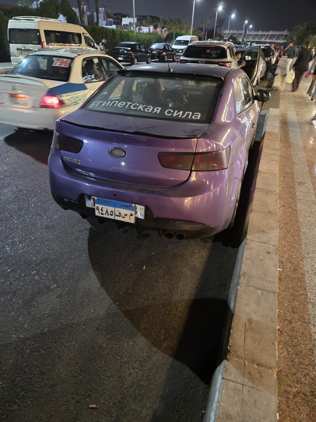 Египетский кот