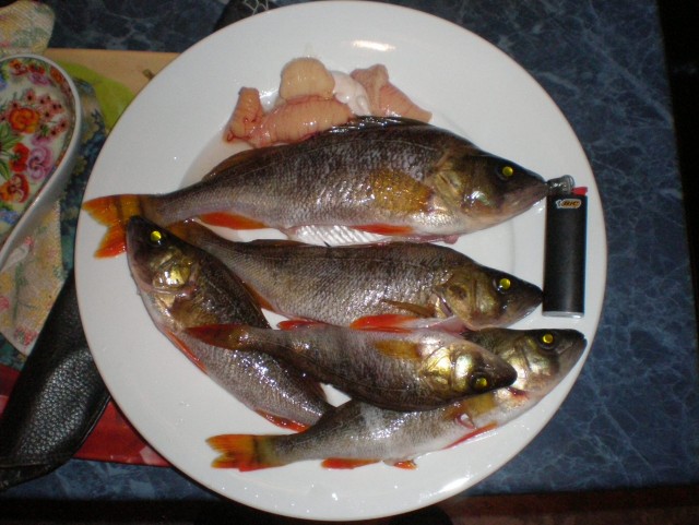 Институт семьи